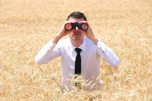 Photo d'un homme en chemise et cravate dans les champs, illustration du garde champêtre web 2.0