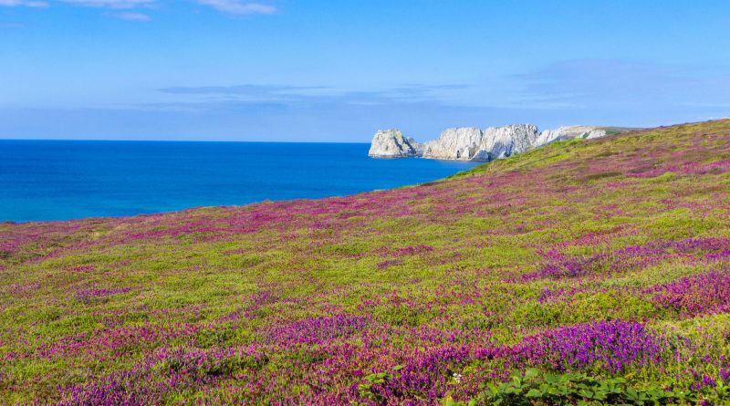 Photo représentant la Bretagne